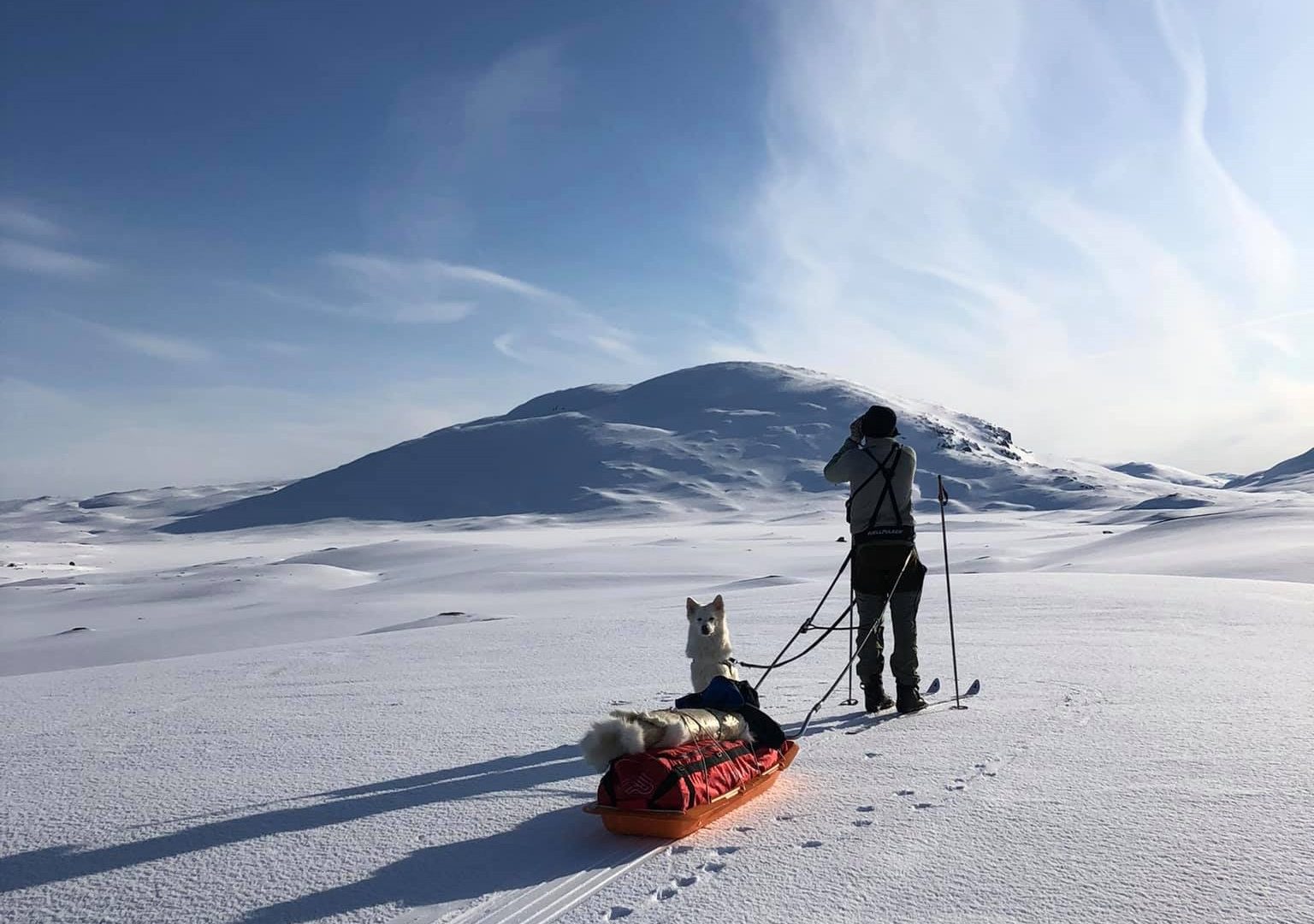 Hi North Børgefjell