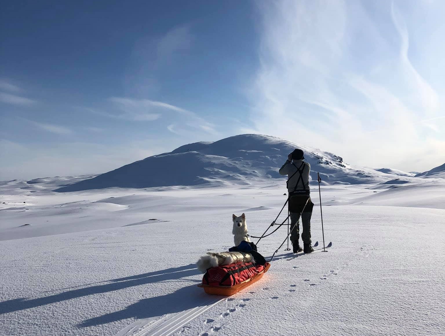 Hi North Børgefjell