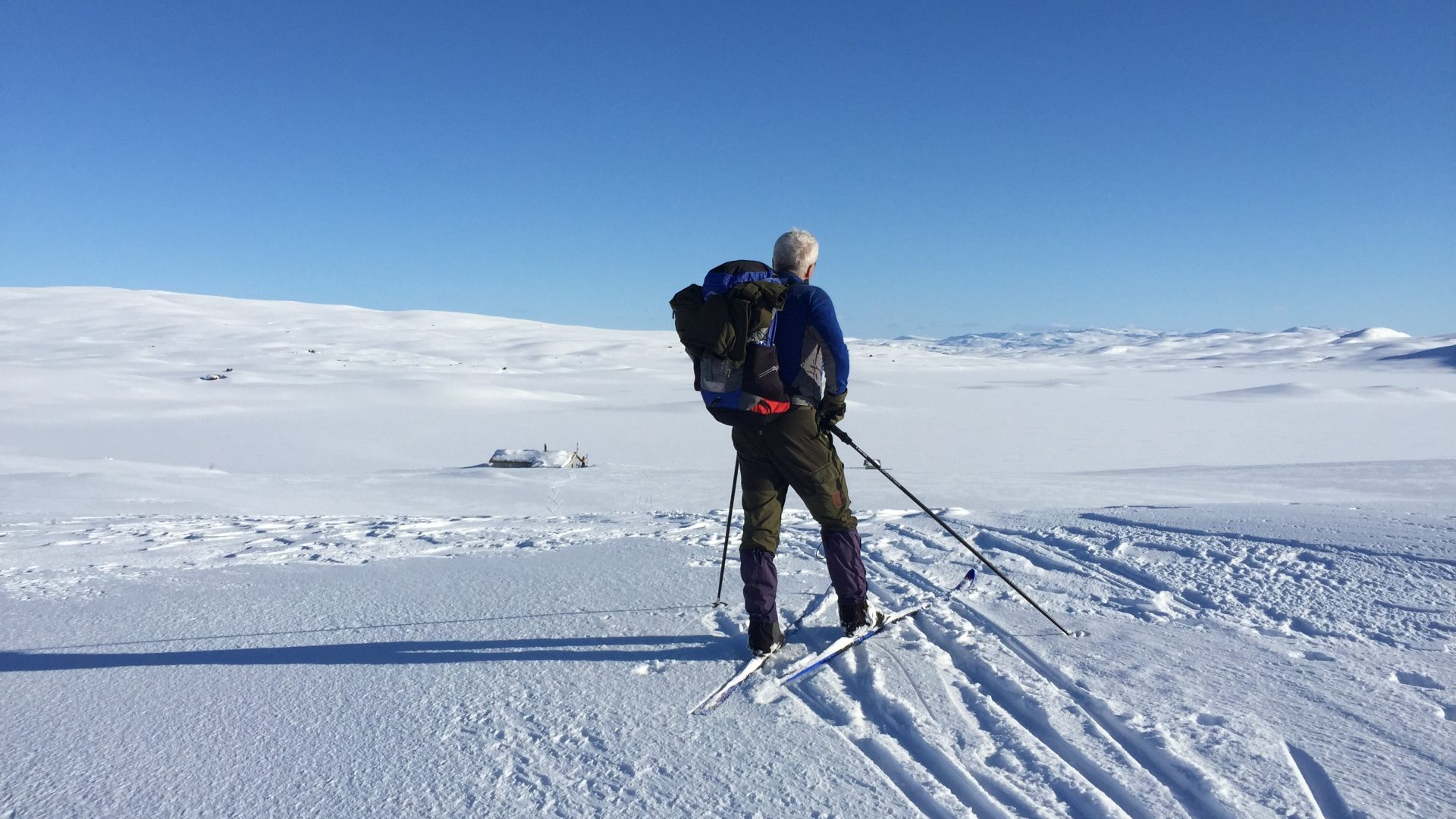 Hi North Børgefjell
